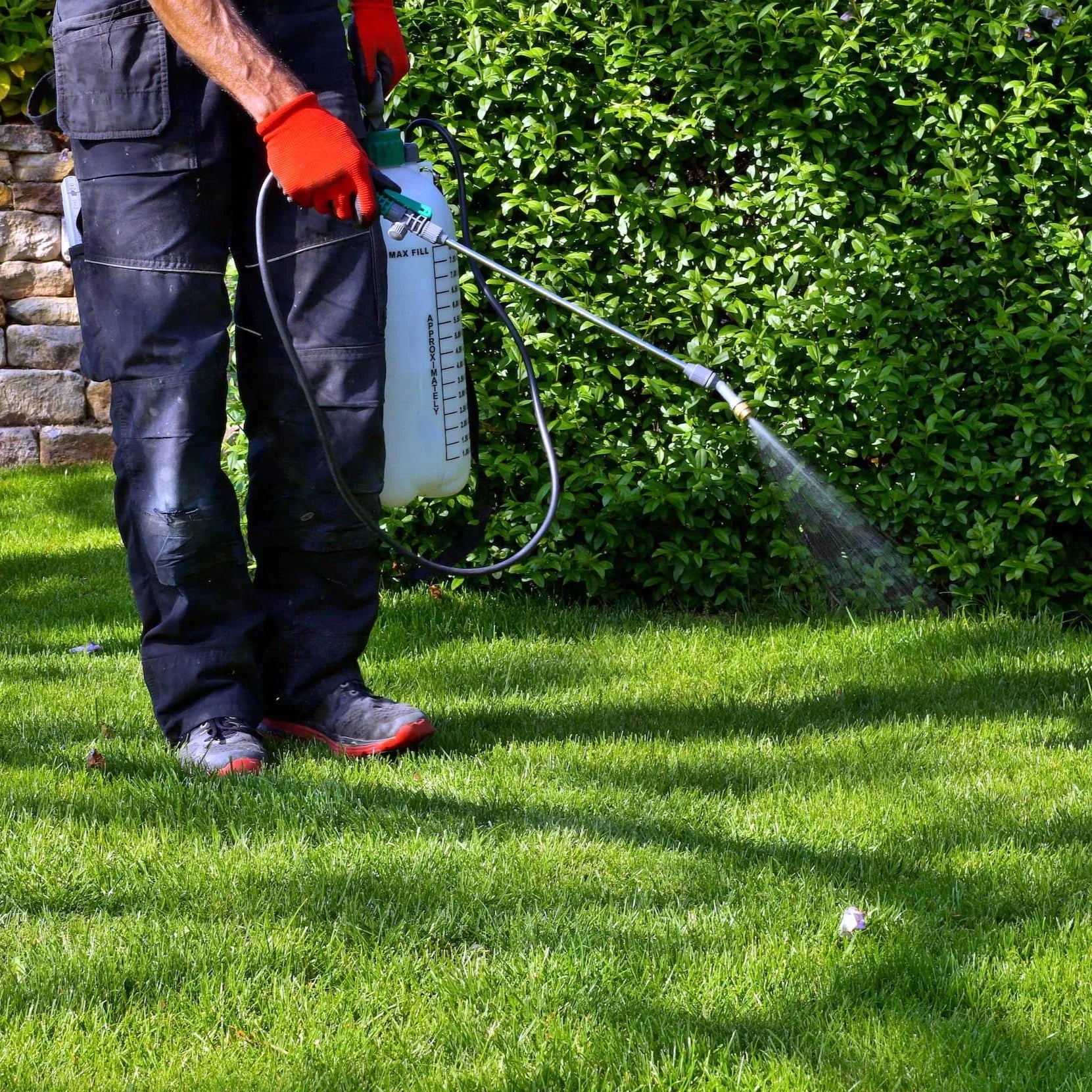 NUTRIENTES Y CONTROL DE PLAGAS