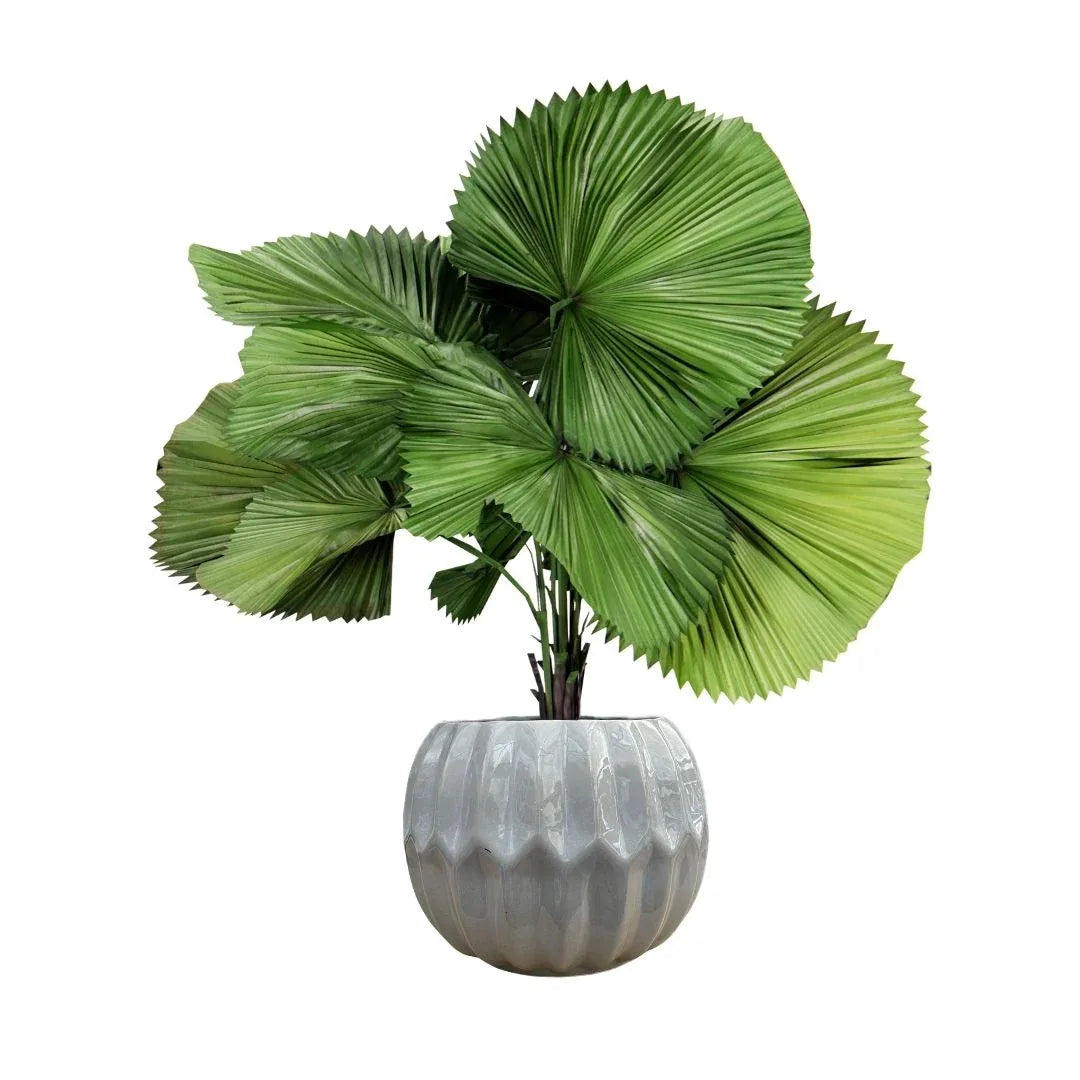MACETA DE CERAMICA ADAMAS GRANDE - Vivero Yañez 