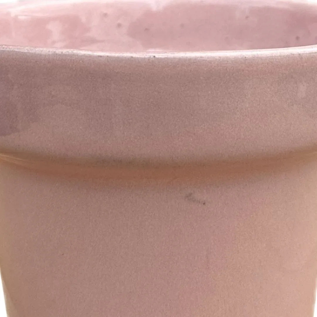 MACETA DE CERAMICA AJILLO CHICO - Vivero Yañez 