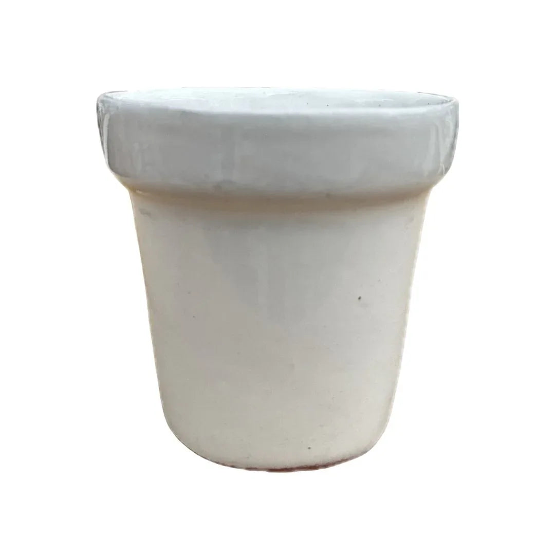 MACETA DE CERAMICA AJILLO GRANDE - Vivero Yañez 