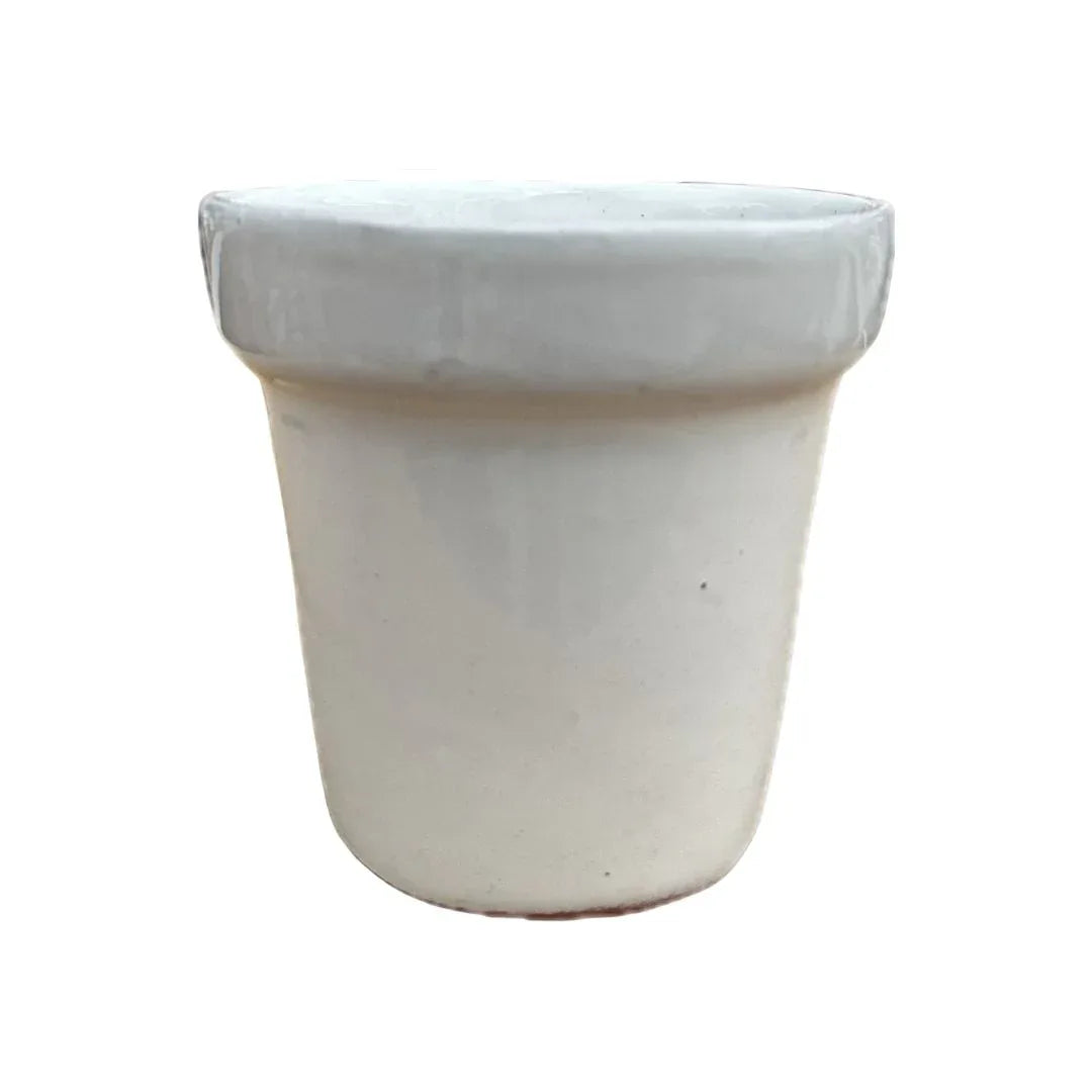 MACETA DE CERAMICA AJILLO MEDIANO - Vivero Yañez 