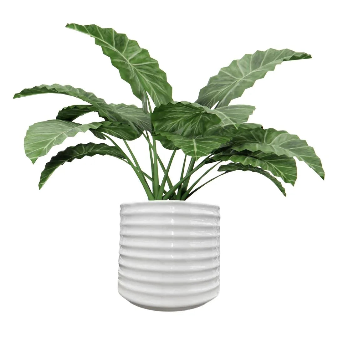 MACETA DE CERAMICA ANILLAR GRANDE - Vivero Yañez 