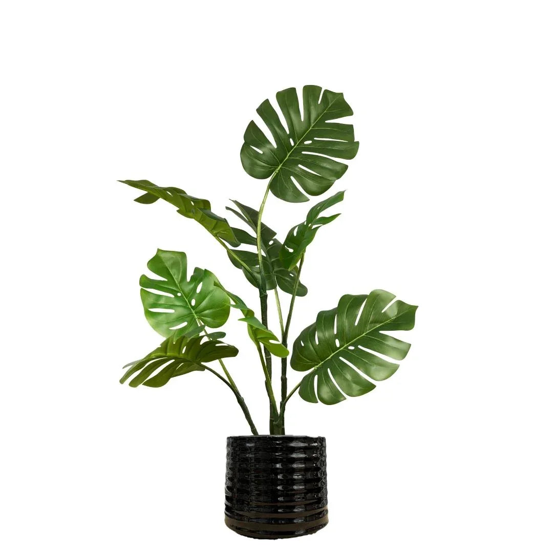 MACETA DE CERAMICA ANILLAR MEDIANO - Vivero Yañez 