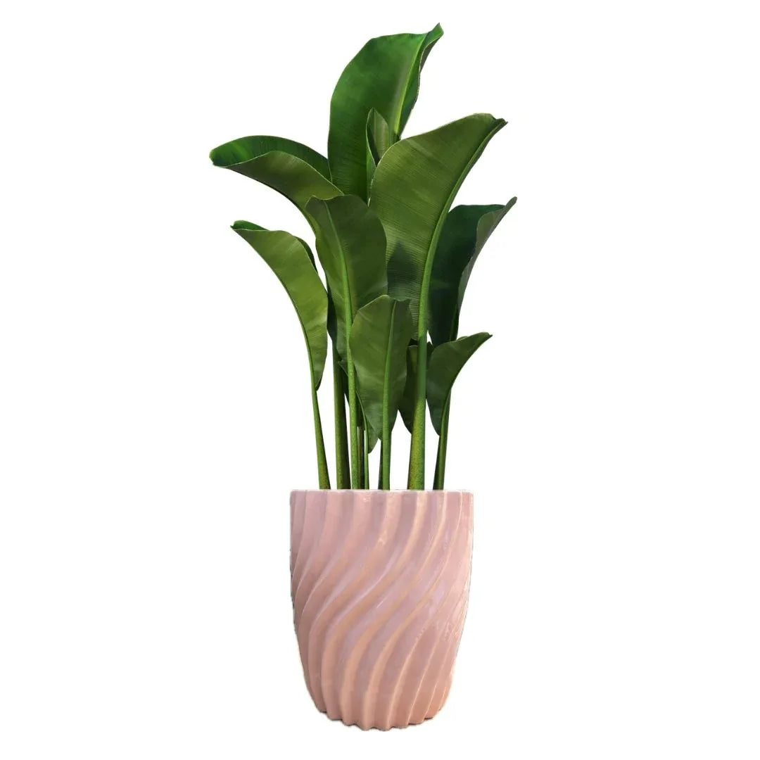 MACETA DE CERAMICA ANTILOPE - Vivero Yañez 