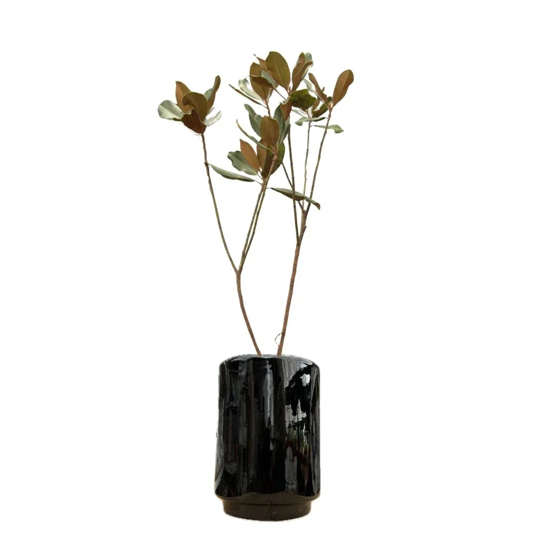 MACETA DE CERAMICA APELANDRA GRANDE - Vivero Yañez 