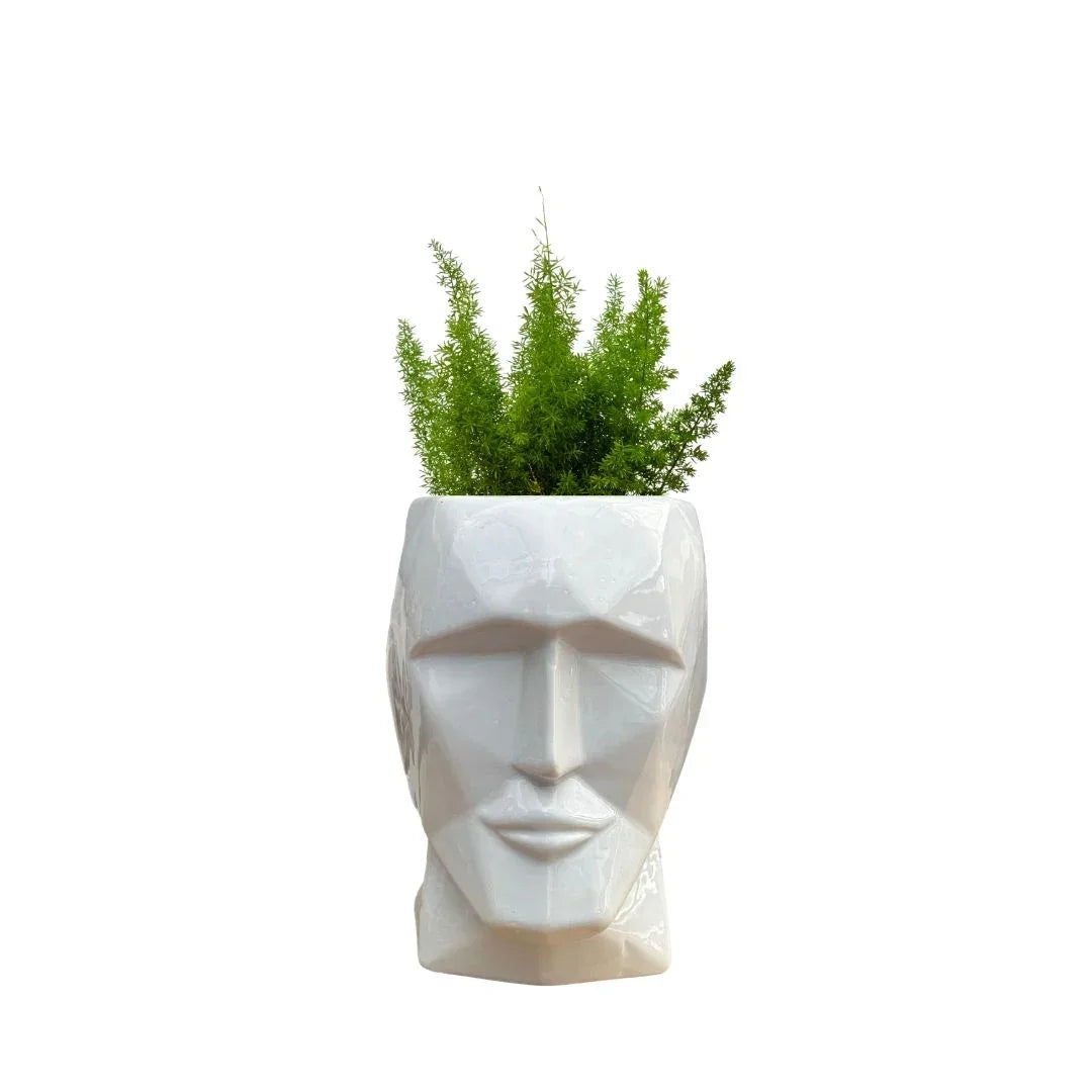 MACETA DE CERAMICA APOLO - Vivero Yañez 