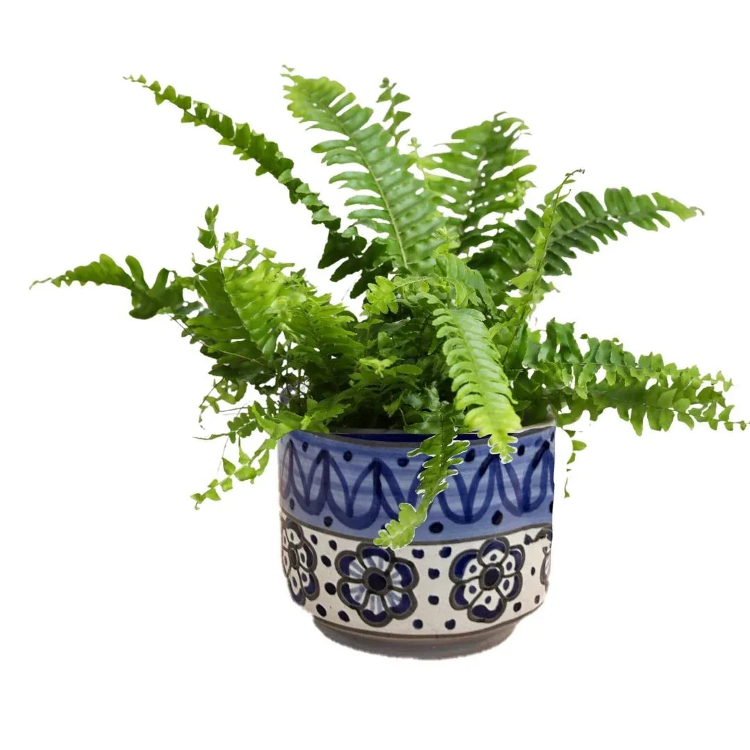 MACETA DE CERAMICA AZULEJO GRANDE - Vivero Yañez 