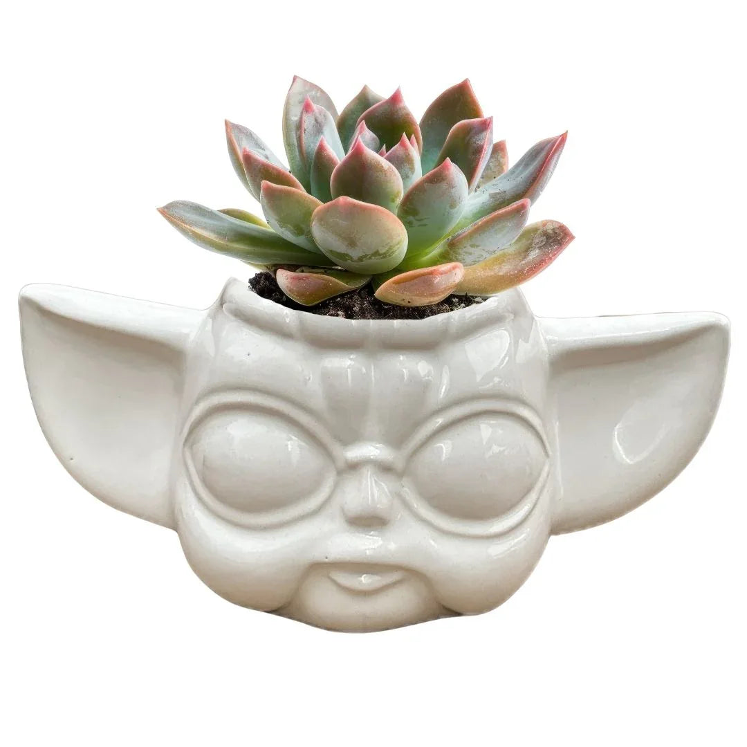 MACETA DE CERAMICA BABY YODA - Vivero Yañez 