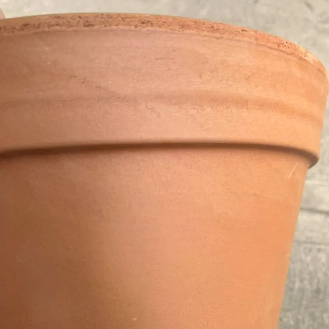 MACETA BARRO NATURAL C30 - Vivero Yañez 