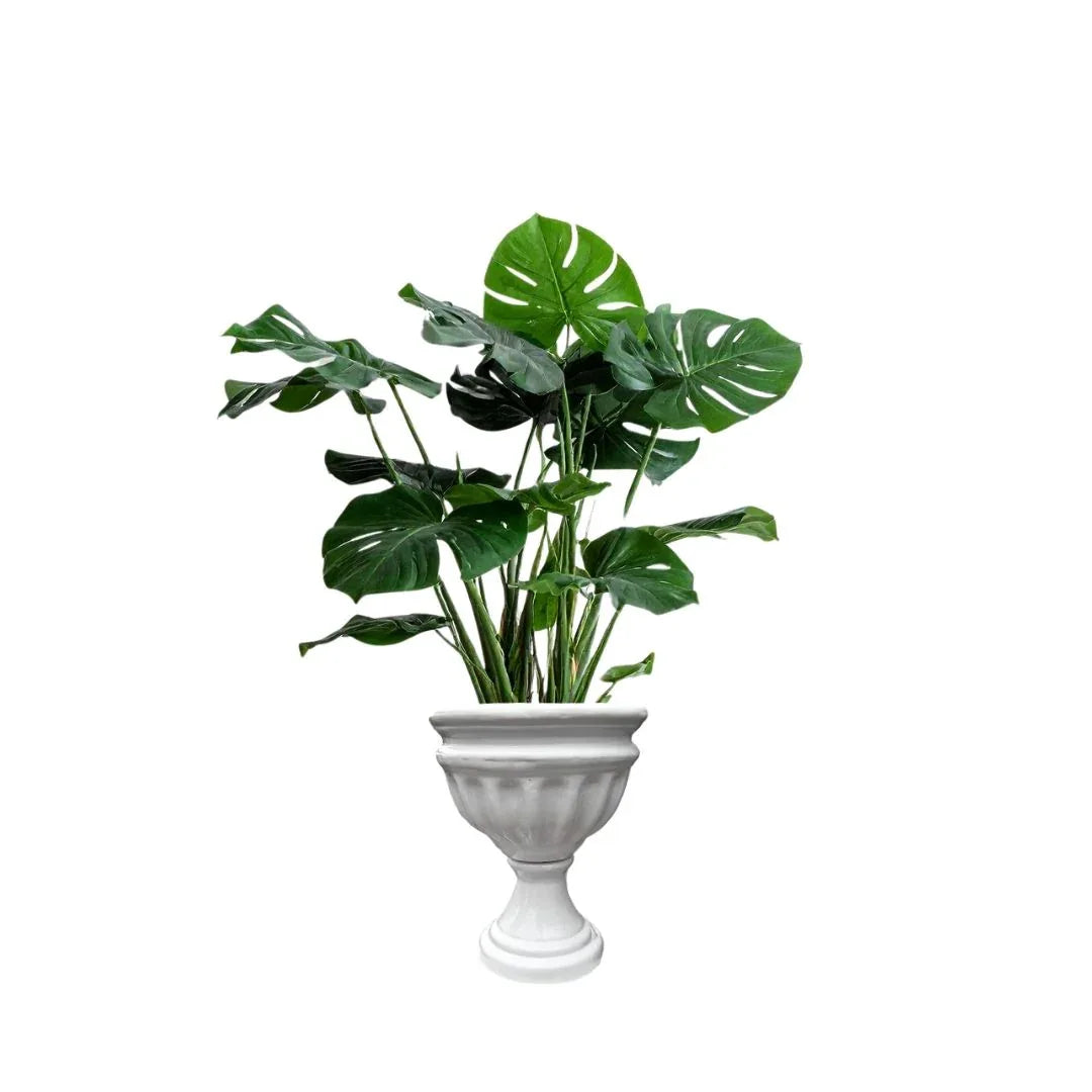 MACETA DE CERAMICA CALIX - Vivero Yañez 