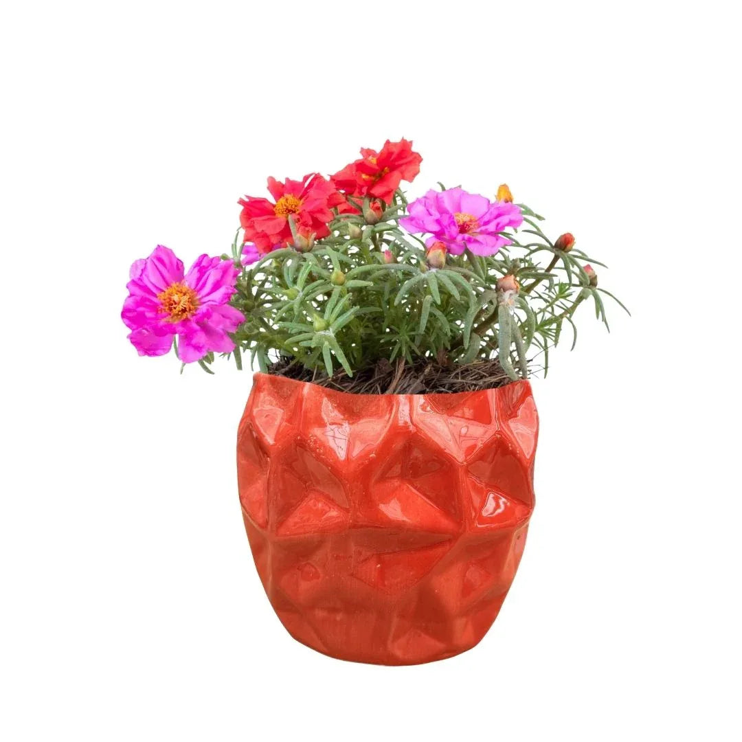 MACETA DE CERAMICA CALIZANTE CHICO - Vivero Yañez 