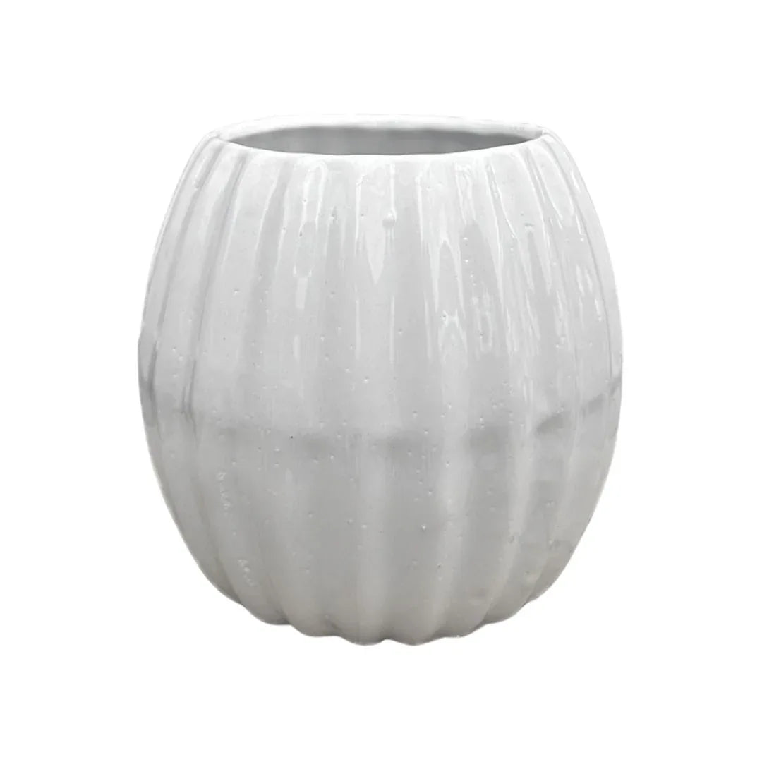 MACETA DE CERAMICA CASCARA - Vivero Yañez 