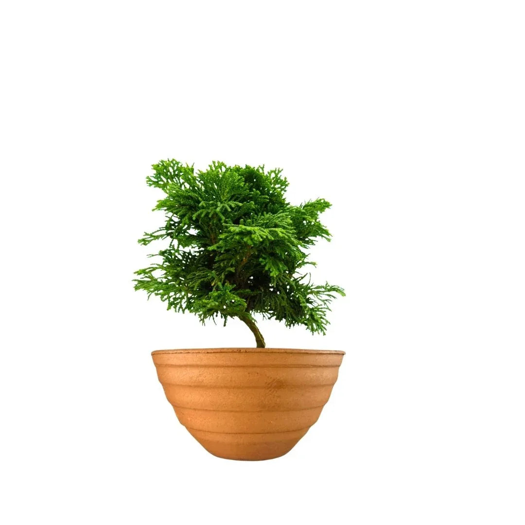MACETA BARRO NATURAL CE14 - Vivero Yañez 