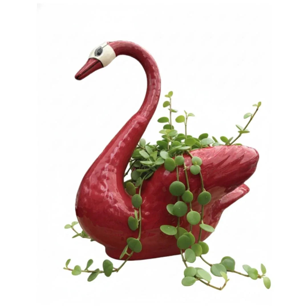 MACETA DE CERAMICA CISNE - Vivero Yañez 