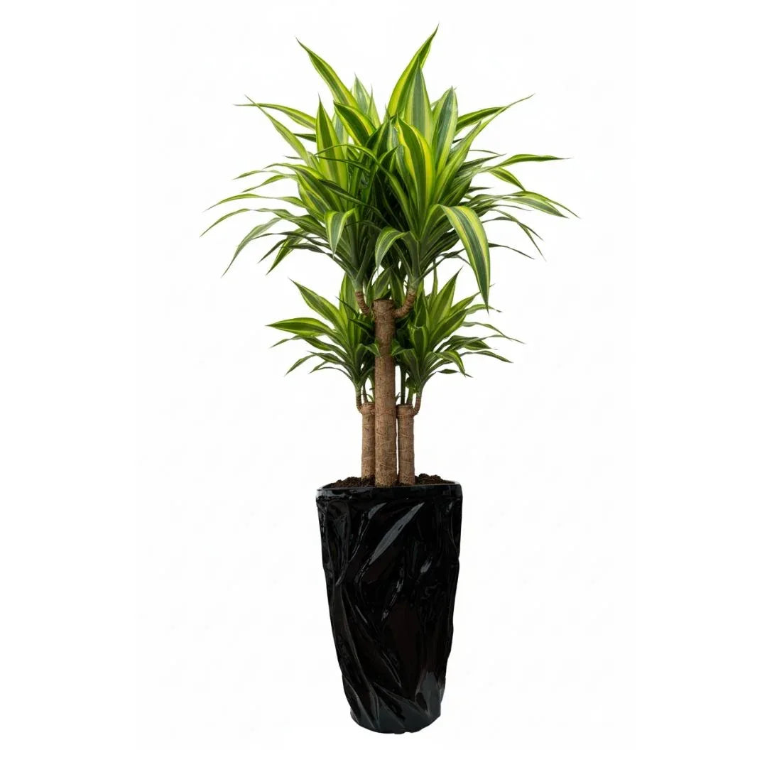 MACETA DE CERAMICA COPATICO - Vivero Yañez 