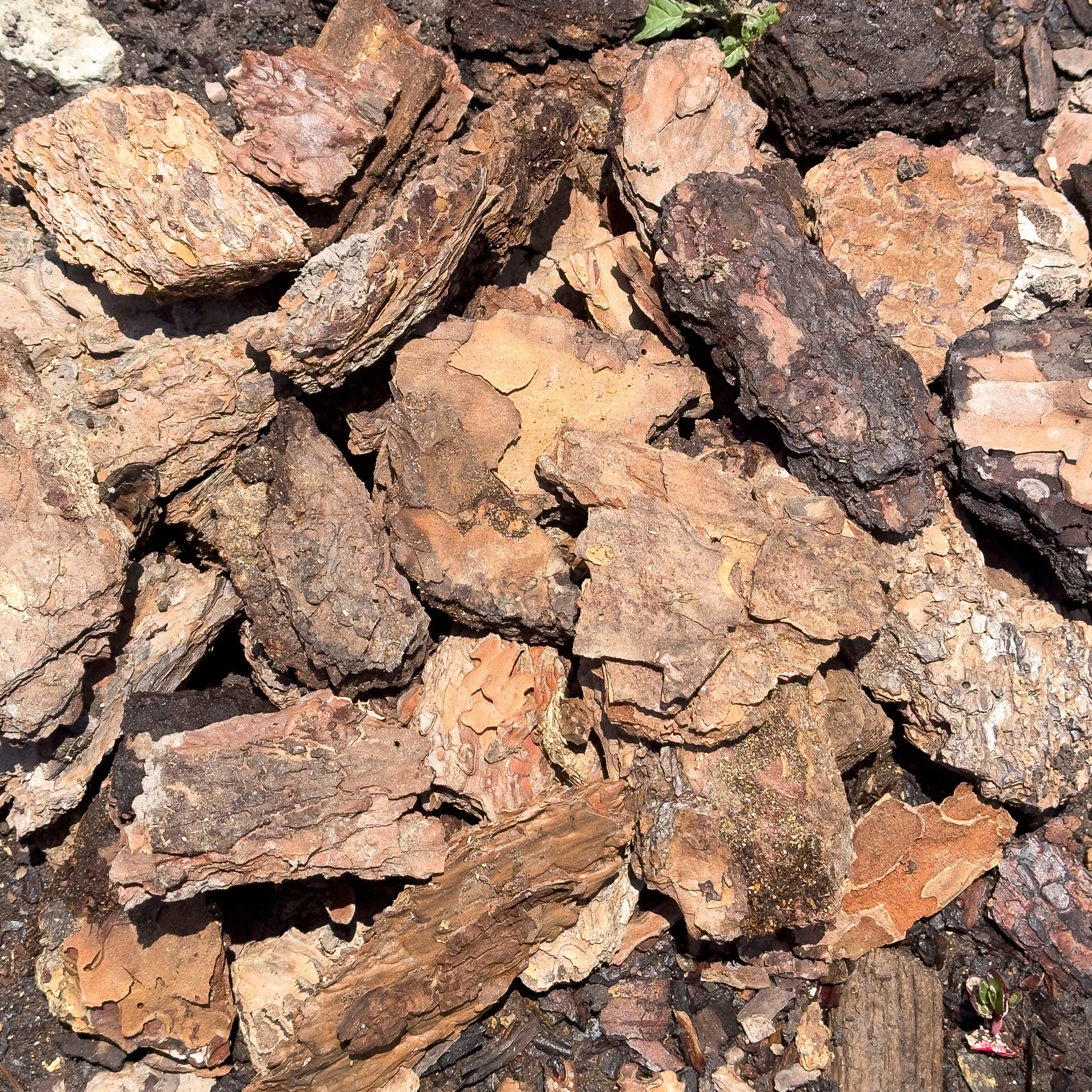 CORTEZA NATURAL DE ARBOL PREMIUM (BOLSA) - Vivero Yañez 
