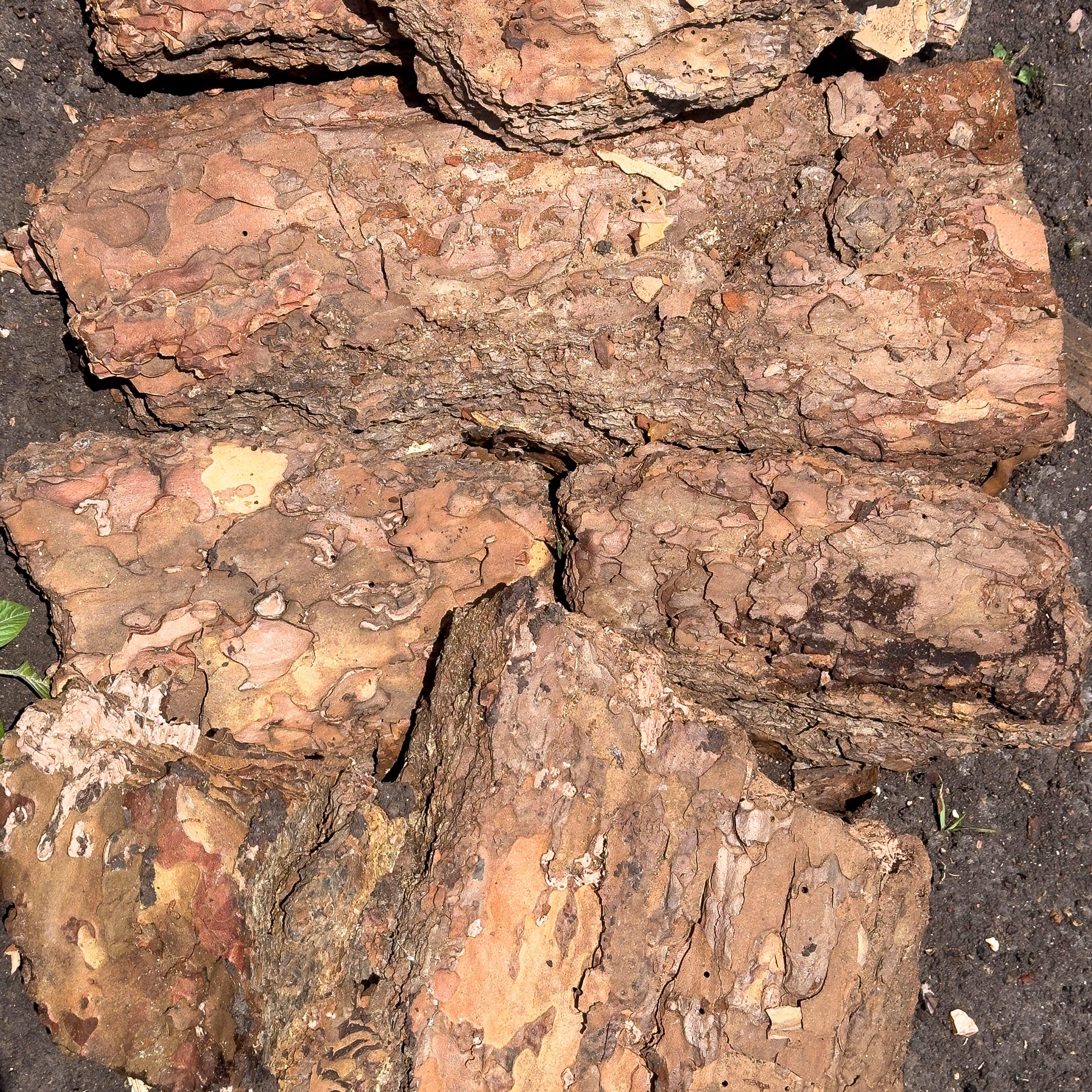 CORTEZA NATURAL DE ARBOL PREMIUM (BOLSA) - Vivero Yañez 