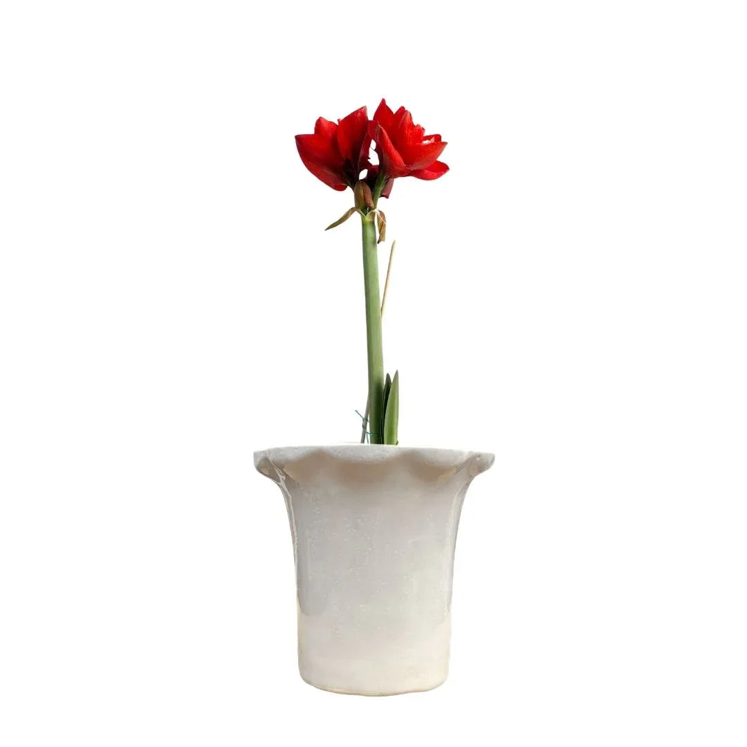 MACETA DE CERAMICA DEMETER - Vivero Yañez 