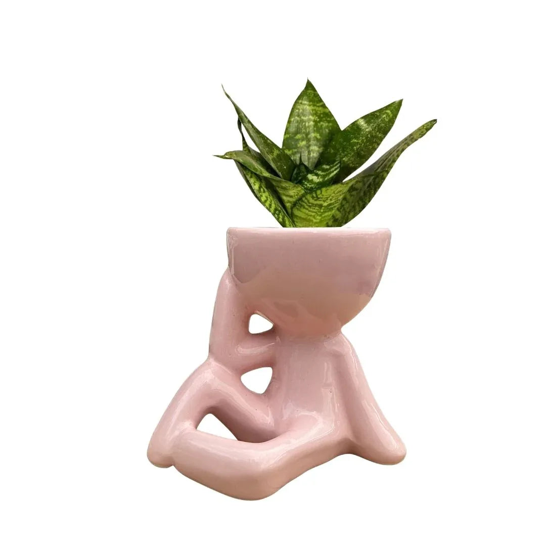 MACETA DE CERAMICA EMMA - Vivero Yañez 