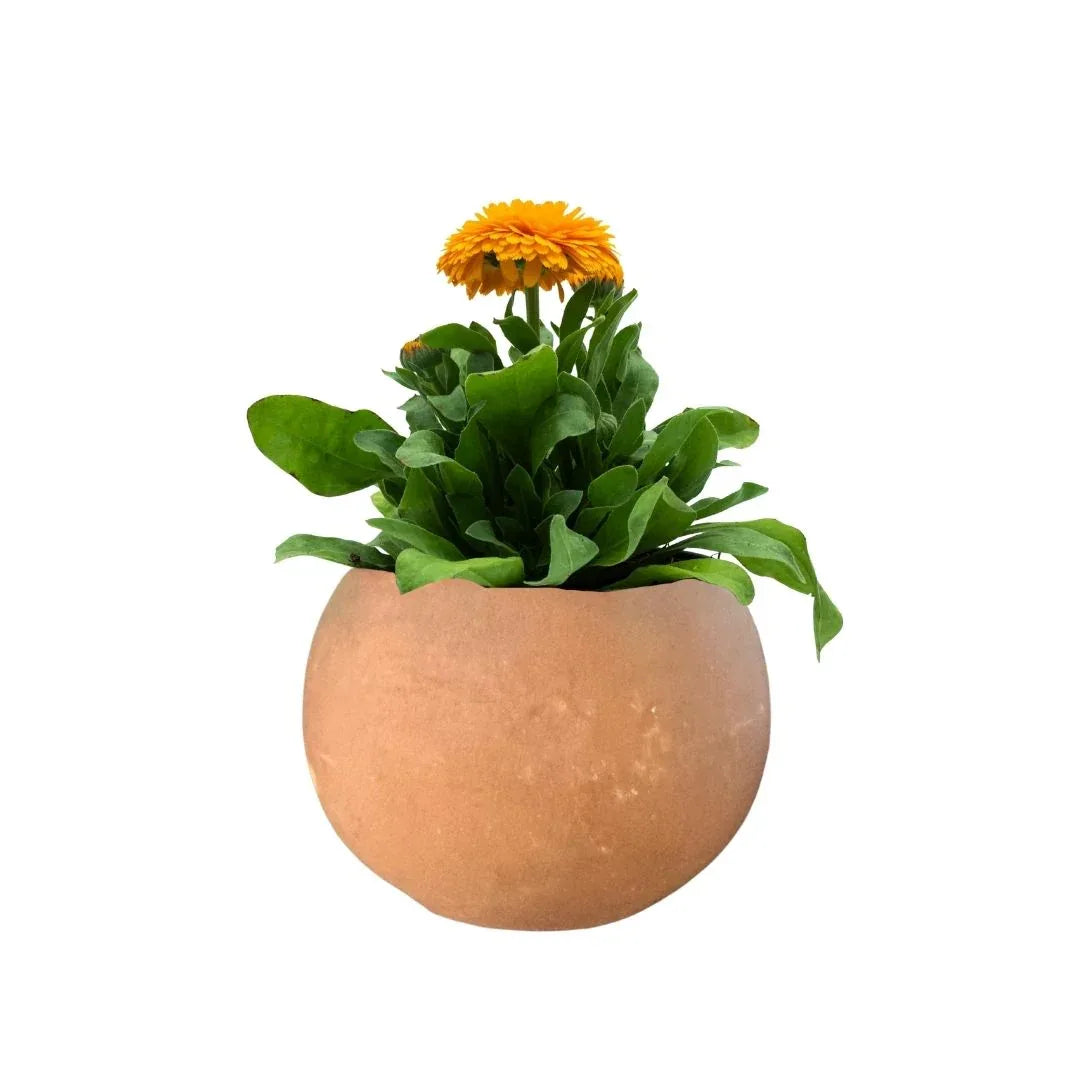 MACETA BARRO NATURAL ESFERA - Vivero Yañez 