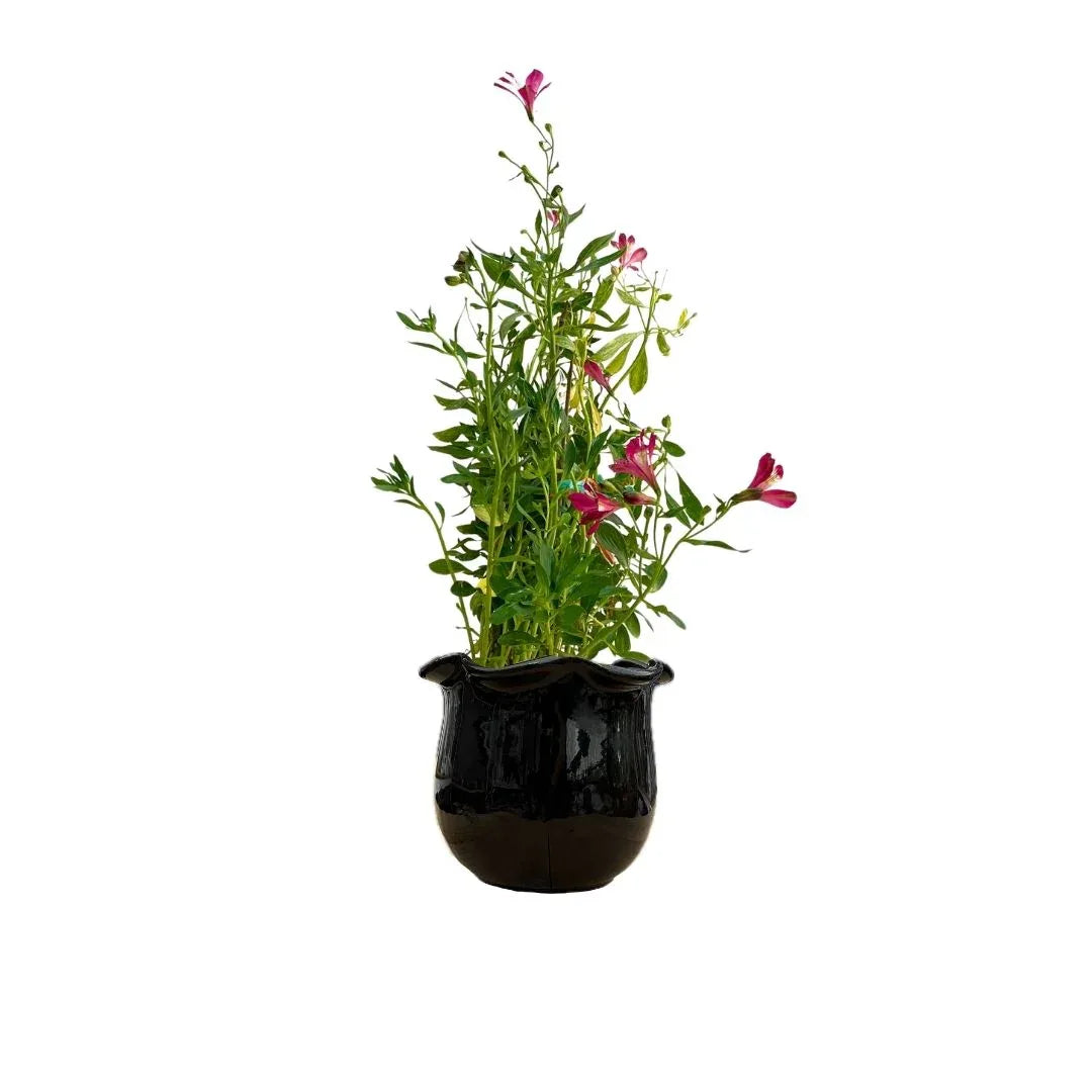 MACETA DE CERAMICA FAUNO CHICO - Vivero Yañez 