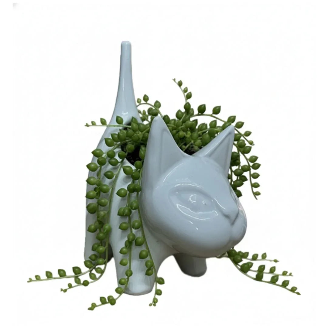 MACETA DE CERAMICA FELINO - Vivero Yañez 