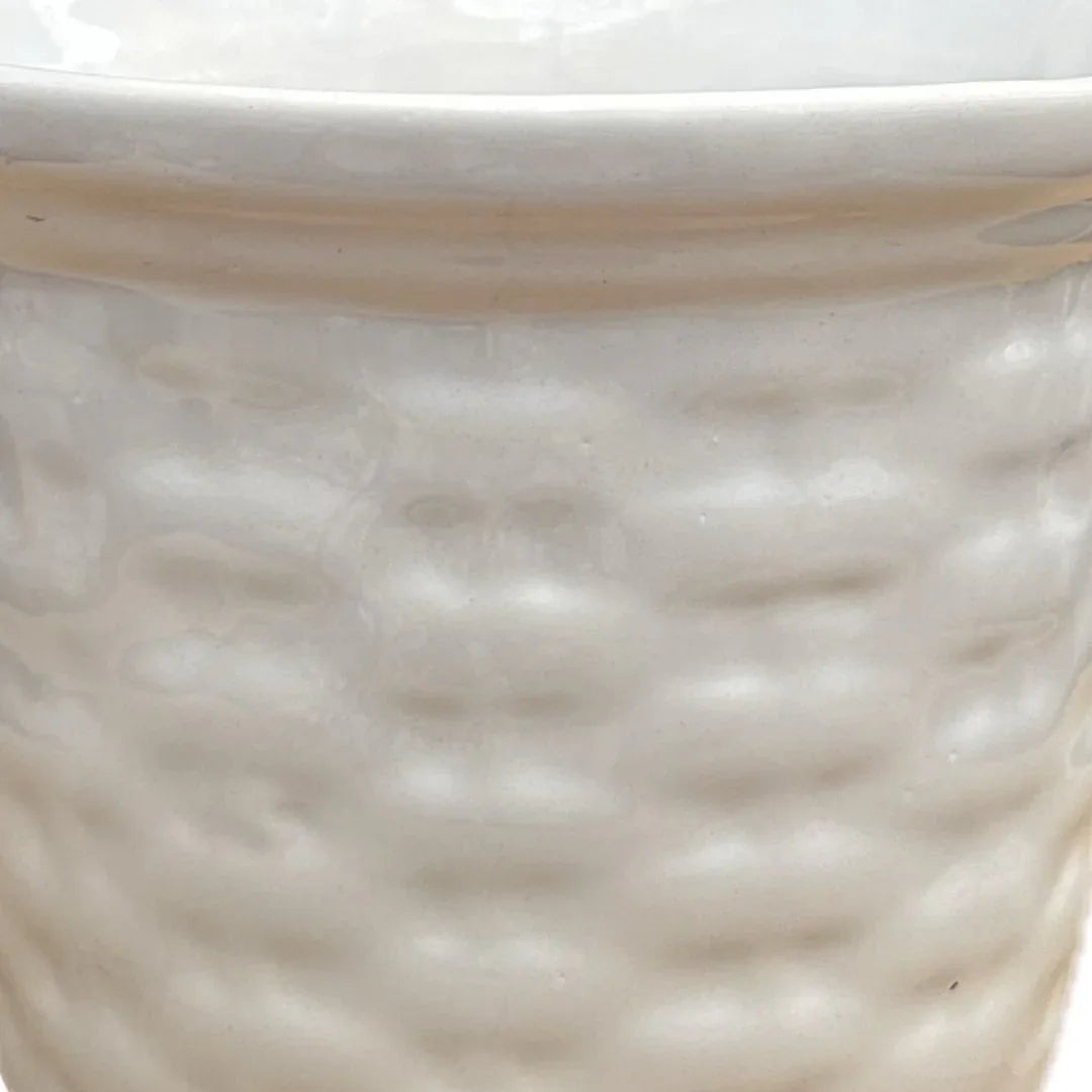 MACETA DE CERAMICA FILICO - Vivero Yañez 