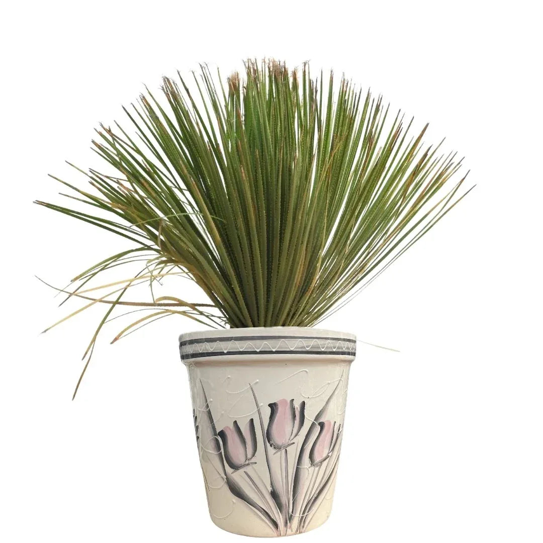 MACETA DE CERAMICA FLOR - Vivero Yañez 