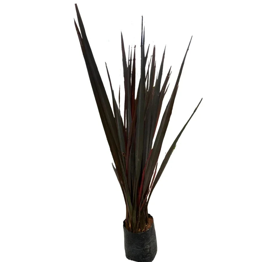 FORNIO ROJO - Vivero Yañez 