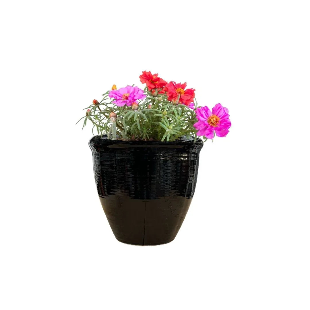 MACETA DE CERAMICA GALVANICO - Vivero Yañez 