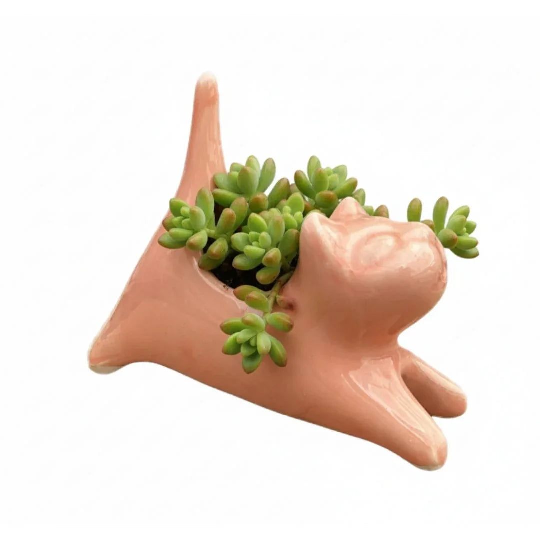 MACETA DE CERAMICA GATO - Vivero Yañez 