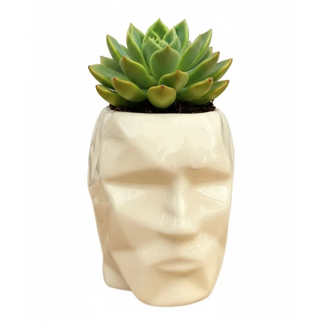 MACETA DE CERAMICA HEFESTO - Vivero Yañez 