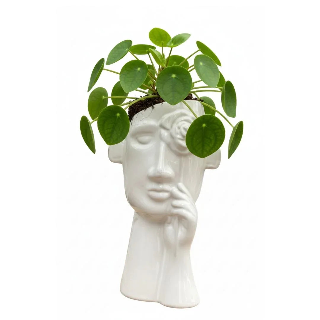 MACETA DE CERAMICA HERA - Vivero Yañez 