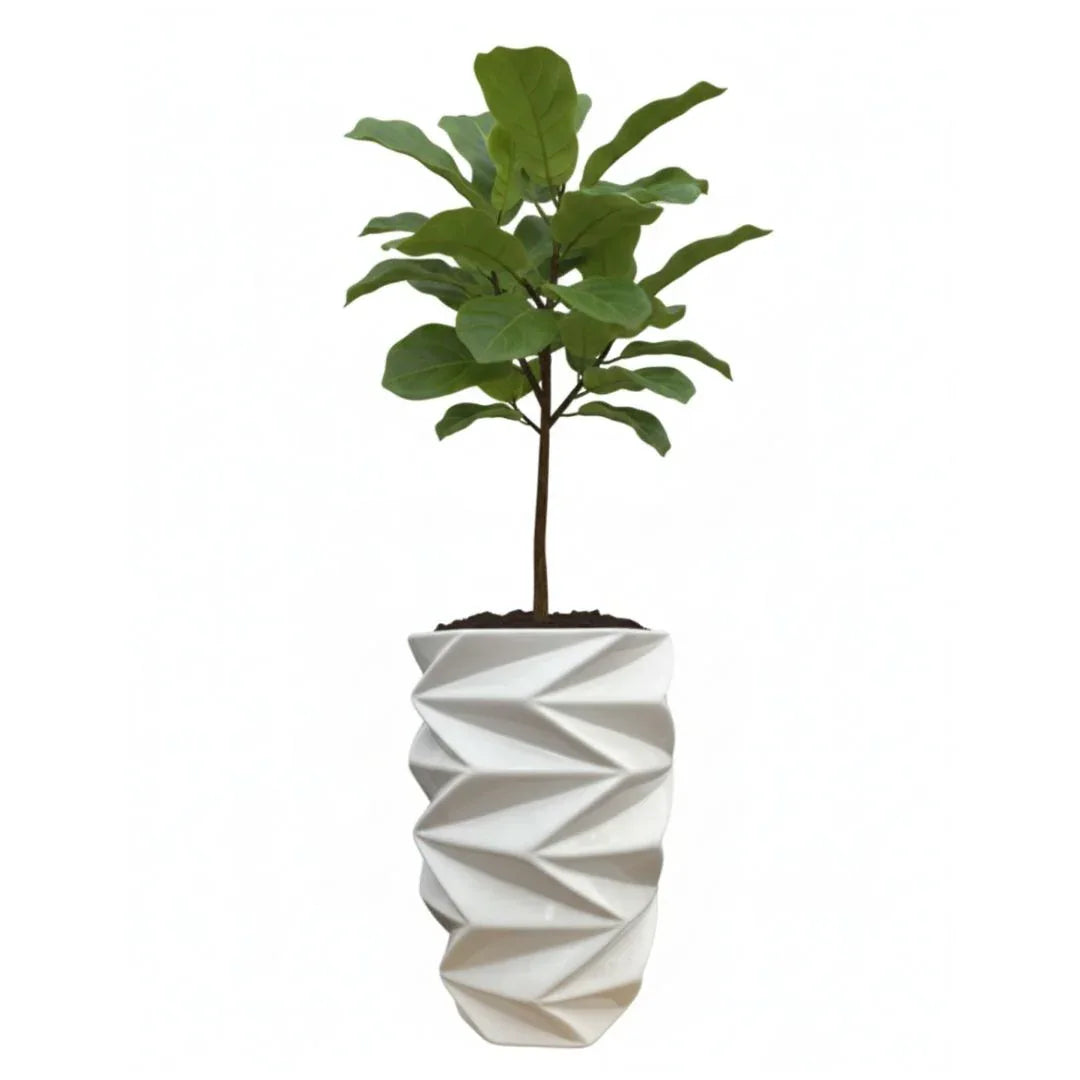 MACETA DE CERAMICA HESTIA - Vivero Yañez 