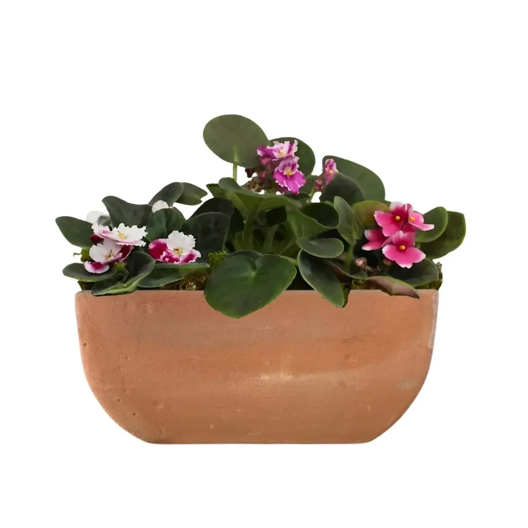 MACETA BARRO NATURAL JARDINERA CHICA - Vivero Yañez 