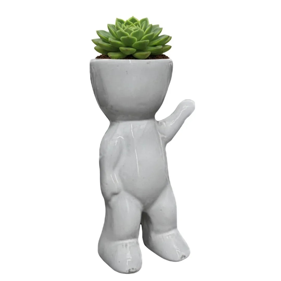 MACETA DE CERAMICA JULIA - Vivero Yañez 