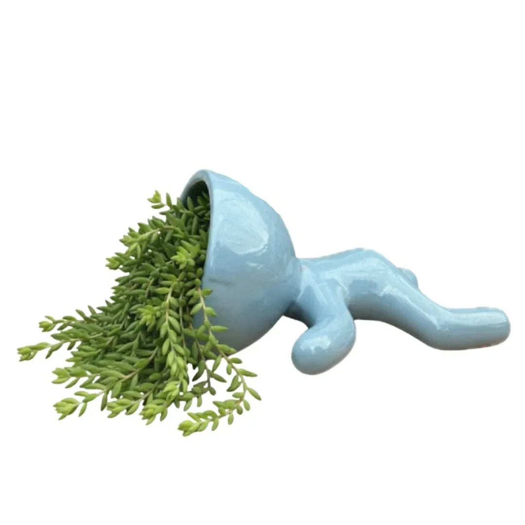 MACETA DE CERAMICA LAZARO - Vivero Yañez 