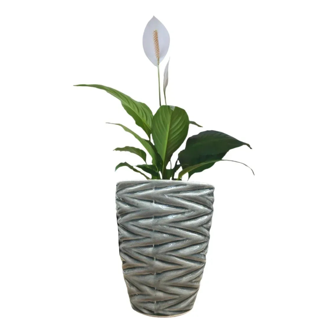 MACETA DE CERAMICA LAZULITA MEDIANO - Vivero Yañez 