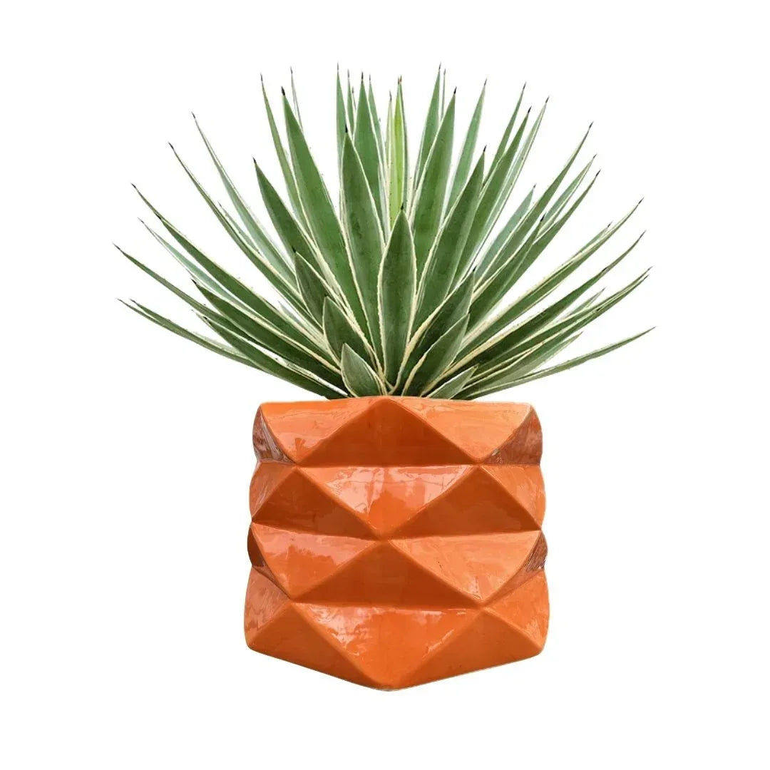 MACETA DE CERAMICA LIMBICO GRANDE - Vivero Yañez 