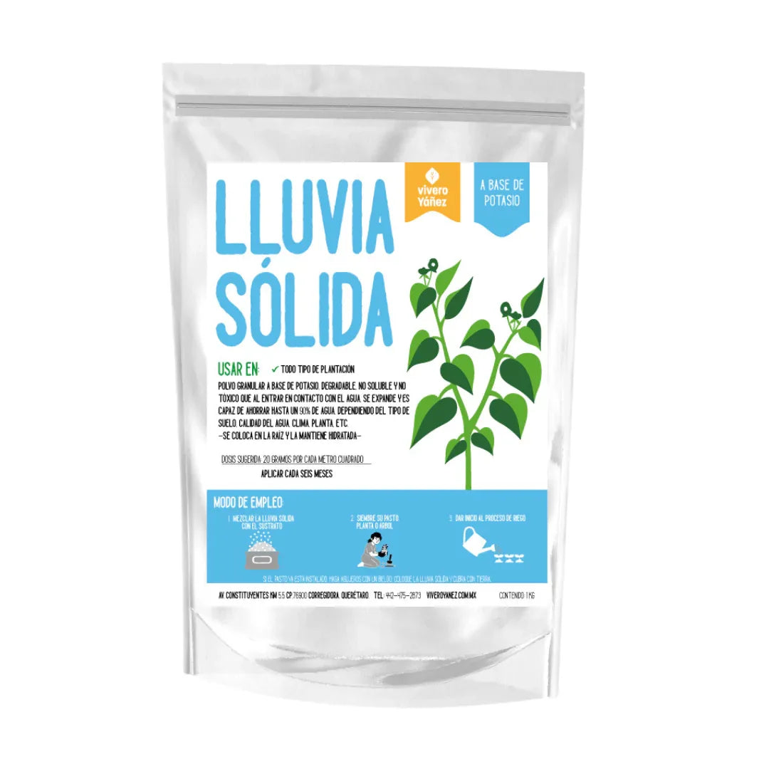 LLUVIA SOLIDA (BOLSA DE 1 KILO) - Vivero Yañez 