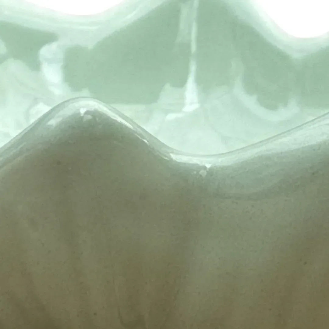 MACETA DE CERAMICA LOTO - Vivero Yañez 