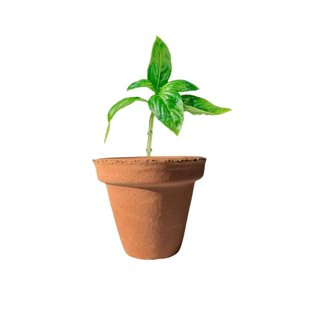 MACETA BARRO NATURAL M04 - Vivero Yañez 