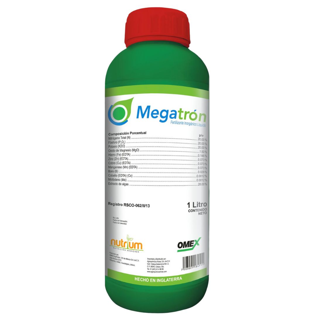 MEGATRON LT - 08