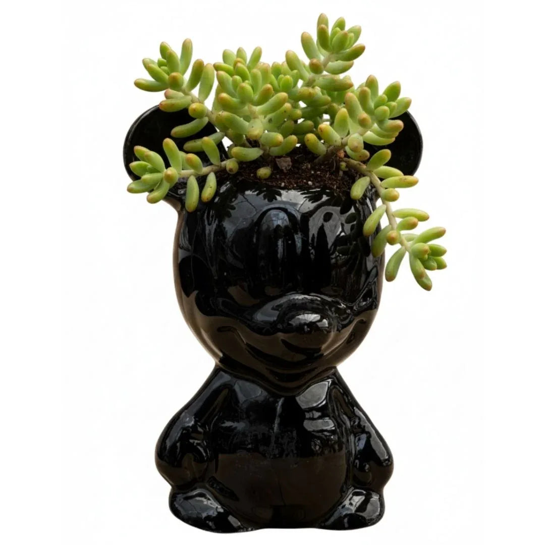 MACETA DE CERAMICA MICKEY - Vivero Yañez 