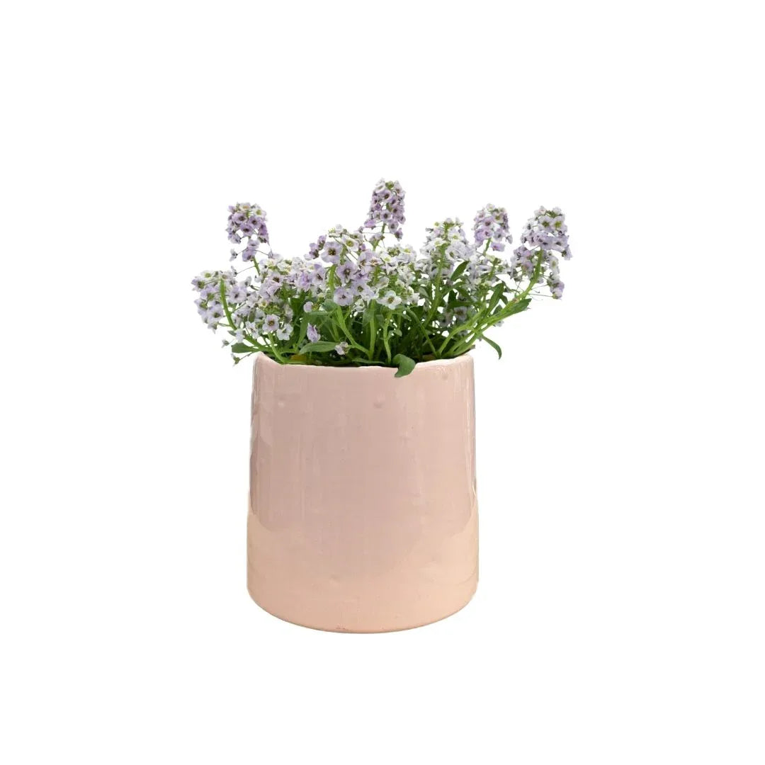 MACETA DE CERAMICA MIMOSA CHICO - Vivero Yañez 