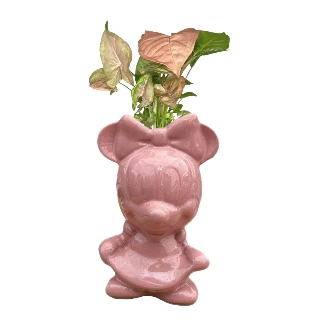 MACETA DE CERAMICA MINNIE - Vivero Yañez 
