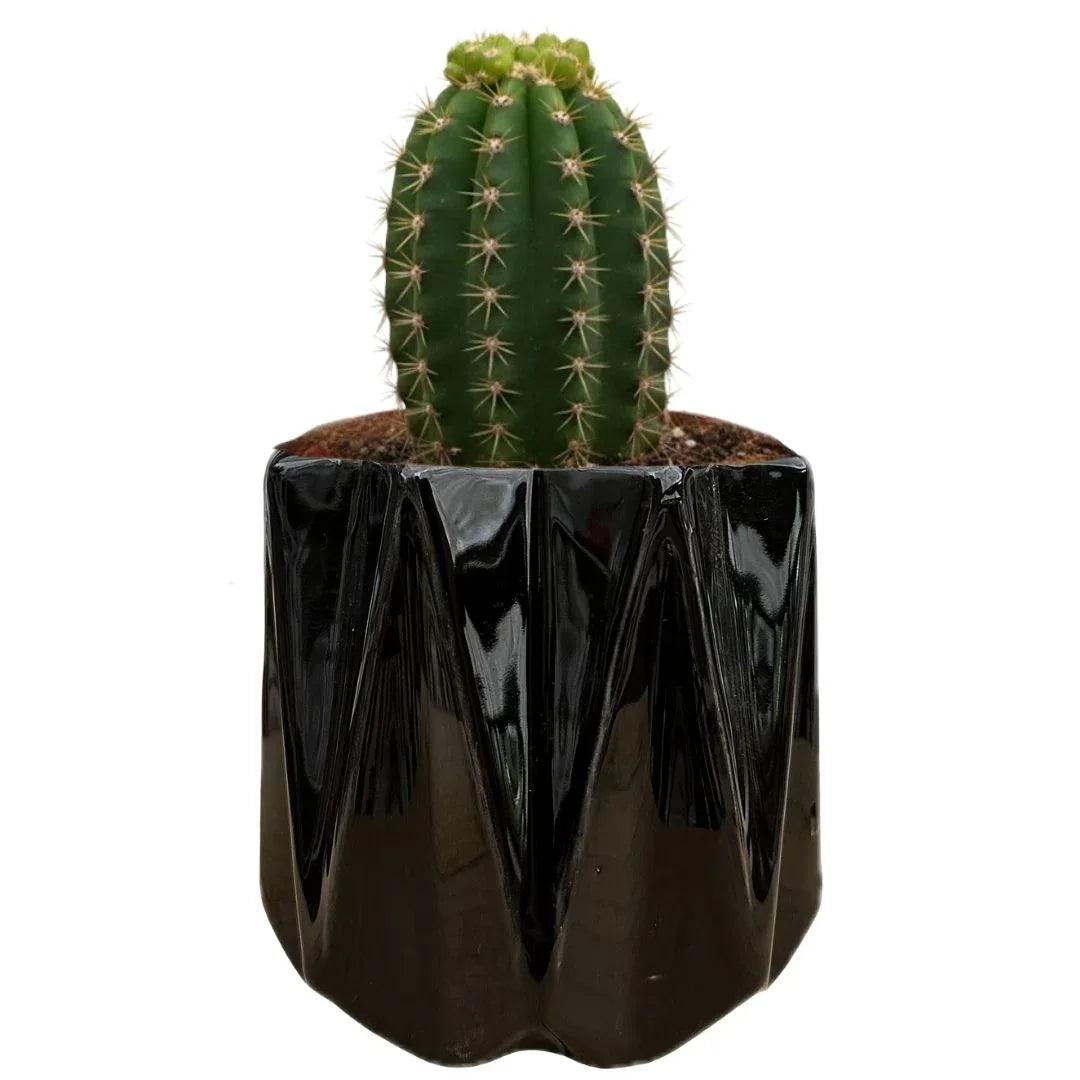 MACETA DE CERAMICA MITRA CHICO - Vivero Yañez 