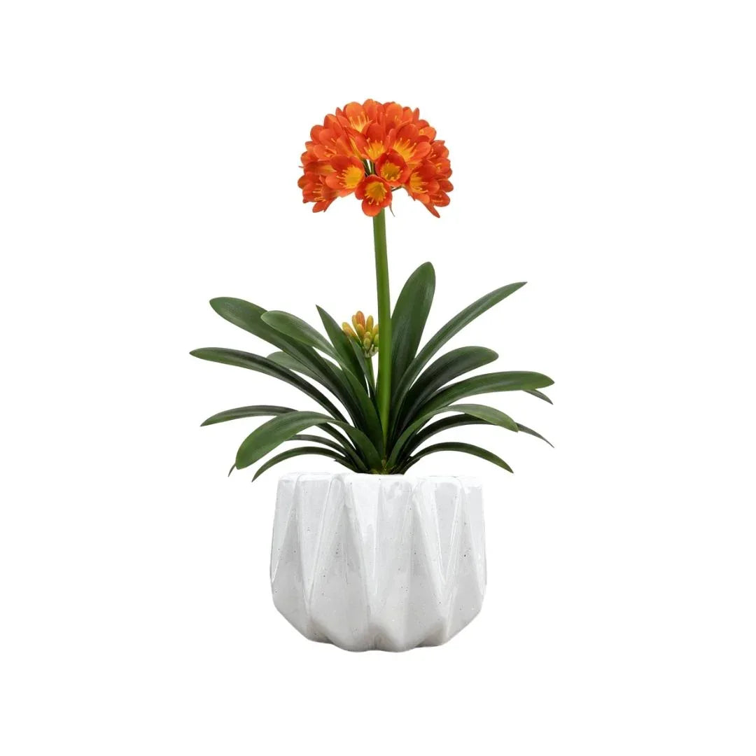 MACETA DE CERAMICA MITRA MEDIANO - Vivero Yañez 