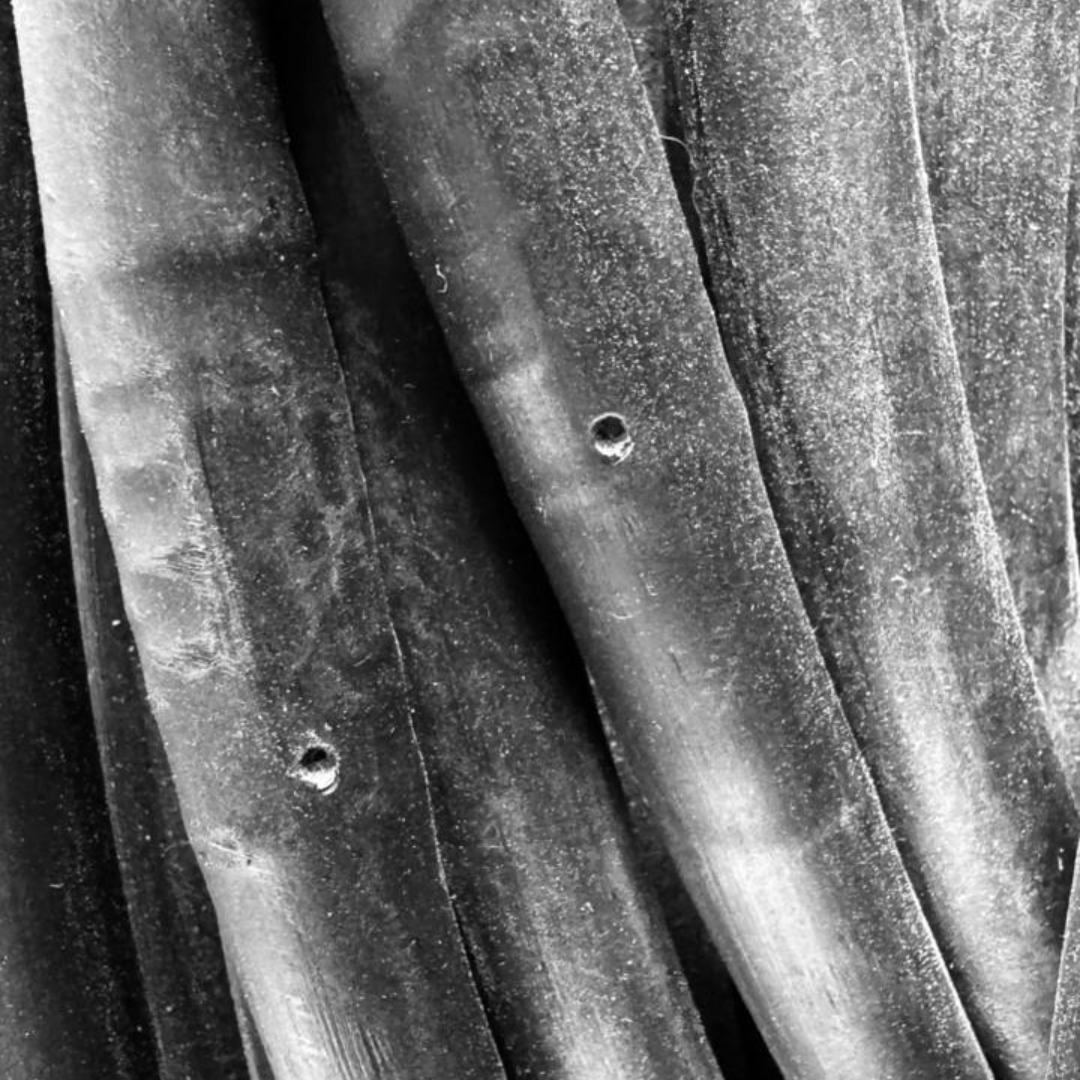 MANGUERA CON GOTERO DE 20 MM INTEGRADO CADA 30 CM (METRO)
