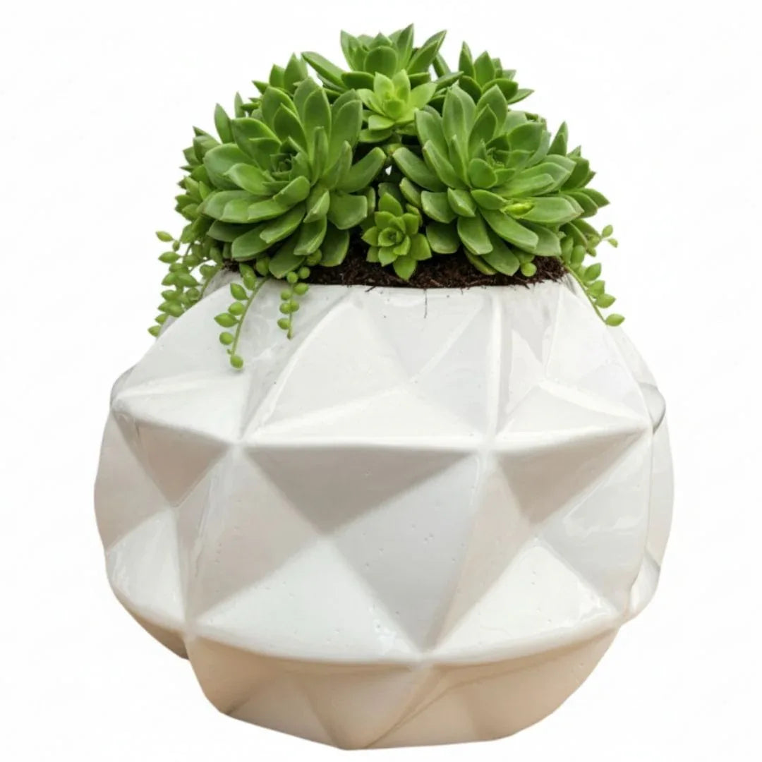MACETA DE CERAMICA OBELISCO - Vivero Yañez 
